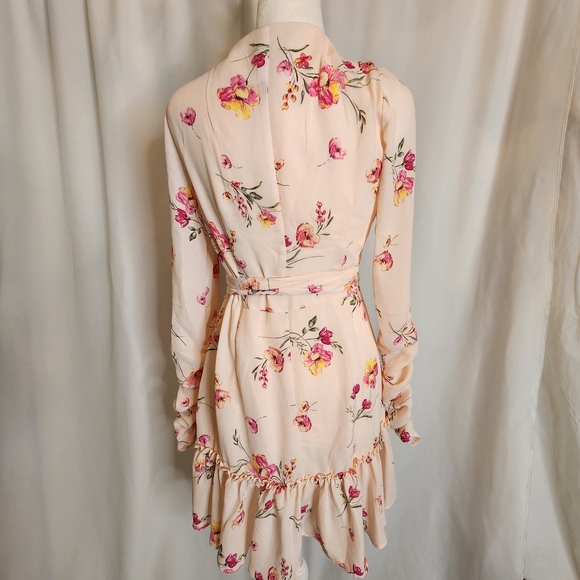 FOREVER 21 Cream & Pink Floral Ruffle V-Neck Wrap Tie Long Sleeve Dress Small - Picture 2 of 11